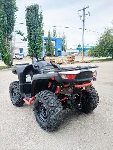 2021 AGT SNARLER AT6 SE - Photo 3