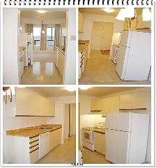 Bright Clean 1 Bedroom Rental Available at 1600 Adelaide Street - Photo 4