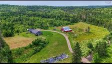 House, Barn, 58 Acres - Photo 10