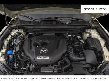 2024 Mazda CX-5 - Photo 6