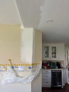 Professional Painter 15 yrs Exp Free Estimates - Photo 3