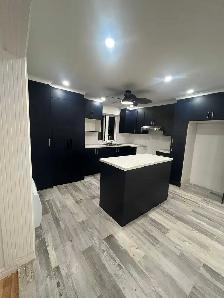 4 1/1 rénové 2e triplex Anjou - Photo 2