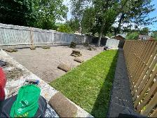 grass/sod - Photo 2