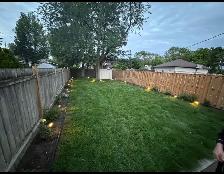grass/sod - Photo 3