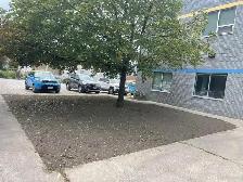 grass/sod - Photo 4