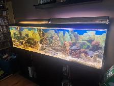 aquarium