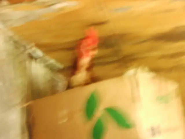 poules