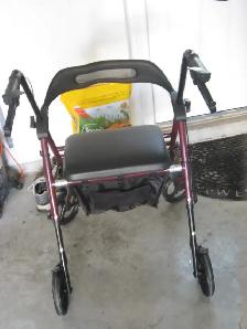 new walker - Photo 2