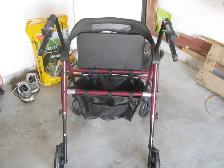 new walker - Photo 3