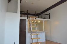 Studio Bachelor Apartment in Corktown - Photo 2