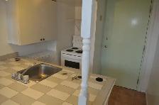 Studio Bachelor Apartment in Corktown - Photo 4
