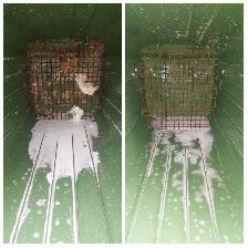 Cleaning Help - Photo 9