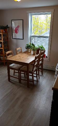 Avail July 1st New Reno Large One BR Apt & Balcony Quinpool Rd. - Photo 6