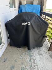 BBQ with Tank and Cover $50 - Photo 4