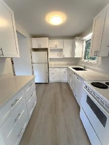 260 London Rd for lease- 3 bedroom, 3 bathroom, newly renovated! - Photo 3
