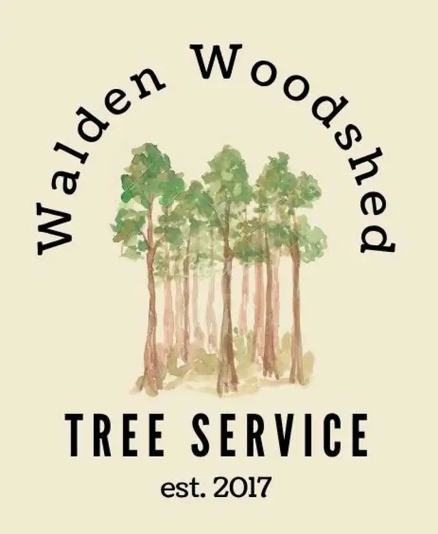 Tree service