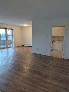 2 Bedroom 1 Bath Apartment for Rent - Photo 3