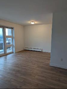2 Bedroom 1 Bath Apartment for Rent - Photo 10