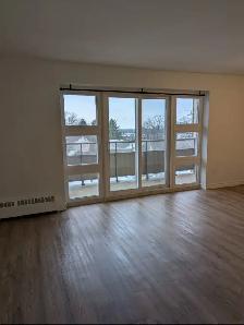 2 Bedroom 1 Bath Apartment for Rent - Photo 11