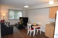 Affordable 1 Bedroom Suite Available for Rent  55  Apartment