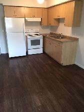 Affordable 1 Bedroom Suite Available for Rent  55  Apartment - Photo 4