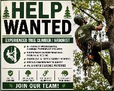 Looking for veteran Climber / Arborist