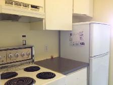 1 bdrm apt all incl. Hull, direct bust to Rideau UofO & L’UQO - Photo 10