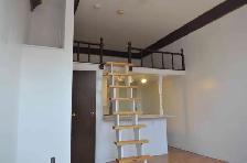 Studio Bachelor Apartment in Corktown
