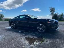 FORD MUSTANG 2015 AUTOMATIQUE - Photo 4