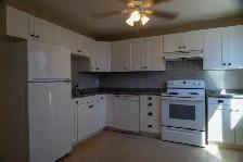 St-Norbert Side x Side for Rent - Photo 2