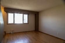 St-Norbert Side x Side for Rent - Photo 3