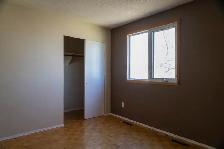 St-Norbert Side x Side for Rent - Photo 6