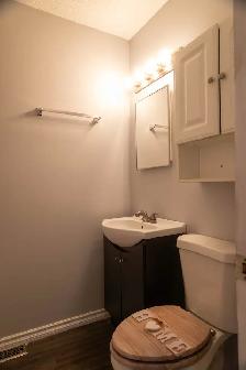 St-Norbert Side x Side for Rent - Photo 7
