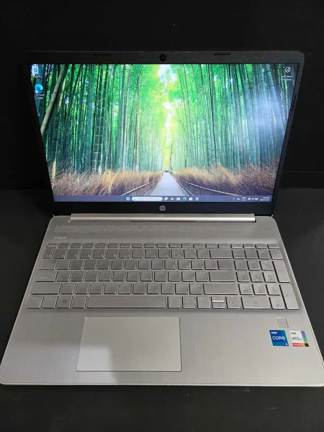 Hp Laptop 15' With Charger