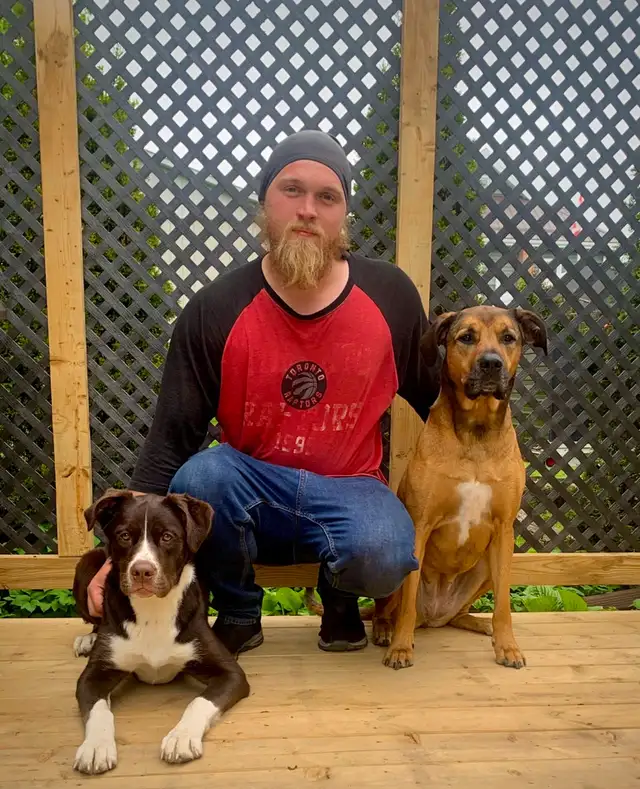Dog Training