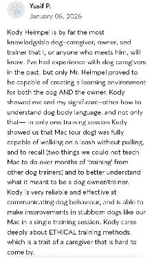 Dog Trainer - Photo 10