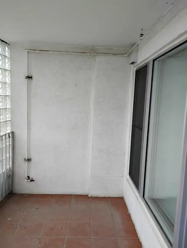 Professional painter needs contacts