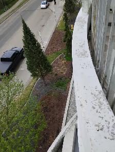 Professional painter needs contacts - Photo 5