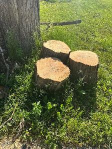 Free firewood