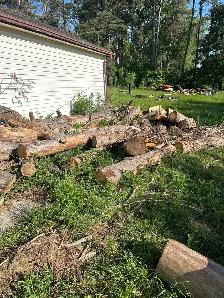 Free firewood - Photo 2