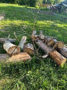 Free firewood - Photo 3