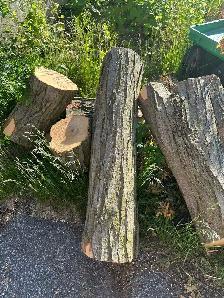Free firewood - Photo 4