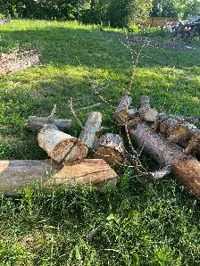 Free firewood - Photo 6