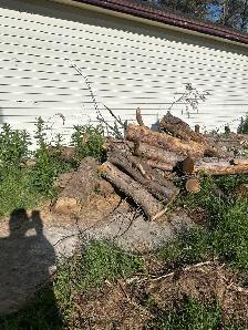Free firewood - Photo 7