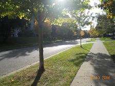 Fabulous Roommate/Large Room to Rent/Apt to Share! - Photo 10