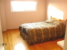 RARE nicely renovated 1 bedroom apt on the MAIN FLR of house-Jul - Photo 4
