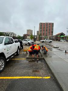 LANDSCAPING SKILLED LABOURER POSITION