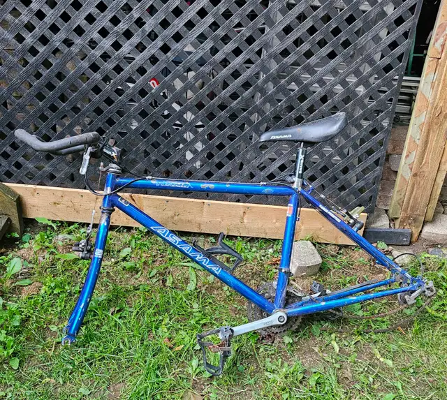 Asama Bike Frame
