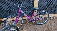 Super Cycle Bike For Sale
