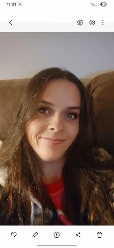 looking for a furnished room or small bachelor apt.